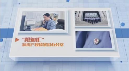 松江舉辦法律AI產(chǎn)品發(fā)布會(huì) 企業(yè)法律服務(wù)觸手可及，金融中介服務(wù)邁向智能化