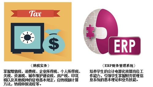湖南商務職業技術學院會計學院 聚焦財務管理與金融中介服務的人才培養高地